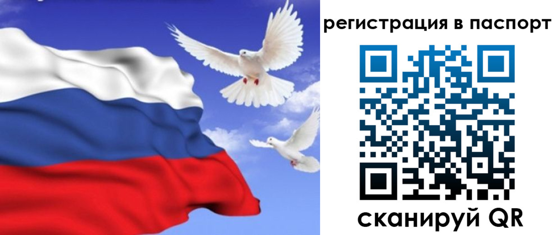 купить прописку в Нерчинске